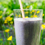 Avocado Blueberry Breakfast Smoothie - the vegan and gluten-free recipe makes an easy morning meal - but feel free to enjoy it any time! | VeggiePrimer.com